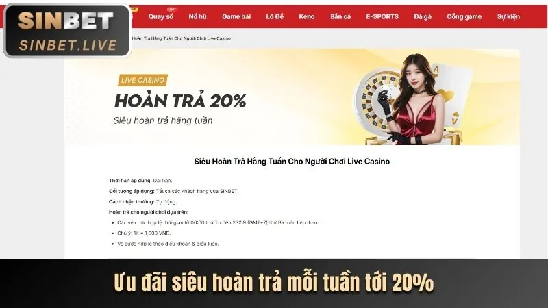 Hình ảnh hoàn trả tiền cược, biểu tượng cho chương trình hoàn trả của Vin55